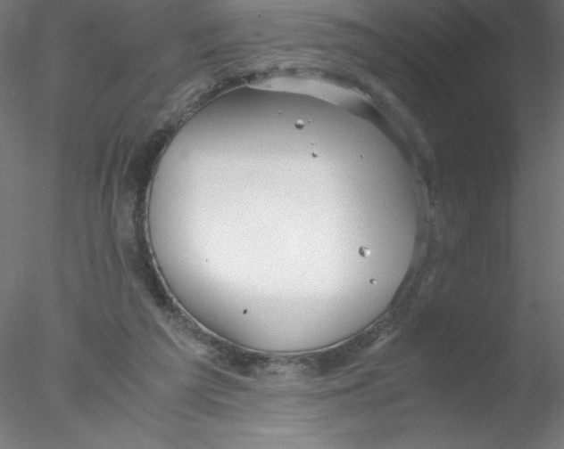 X0000076430209200611031848