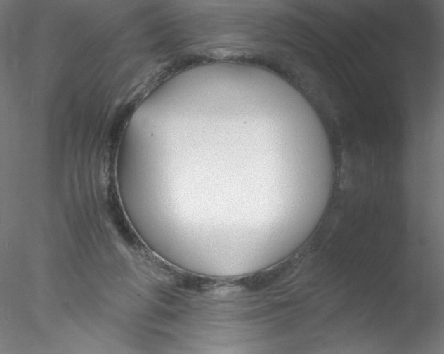 X0000076430210200611031848