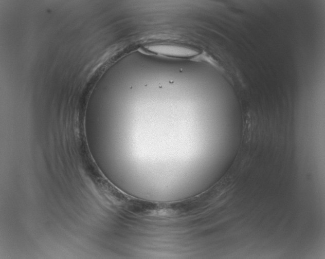 X0000076430212200611031848