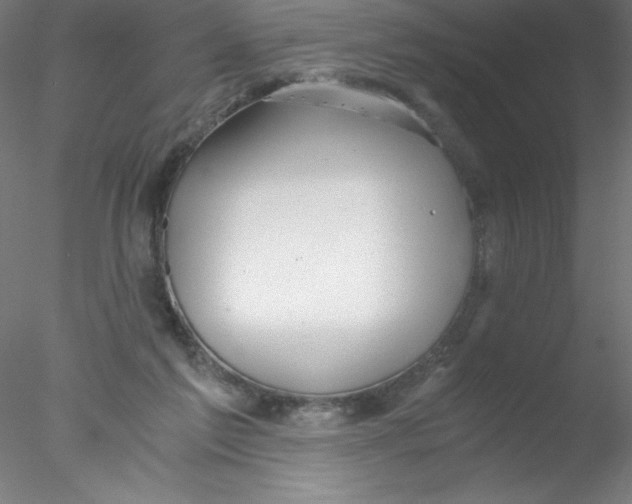 X0000076430213200611031848