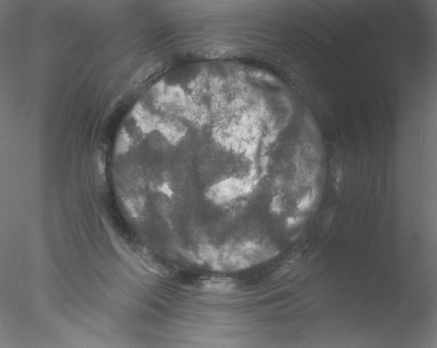 X0000076430214200611031848