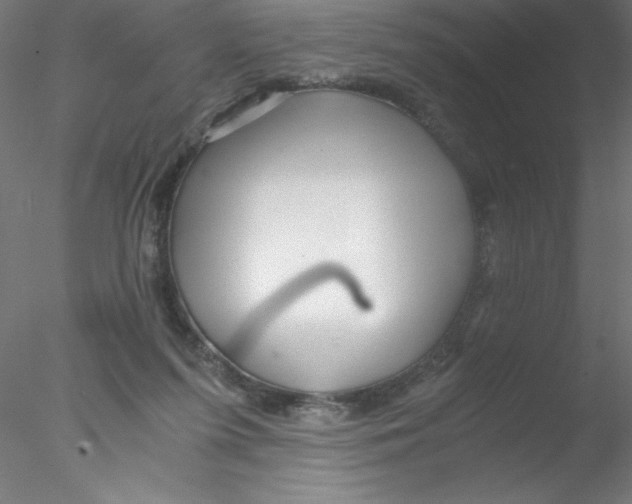 X0000076430215200611031848