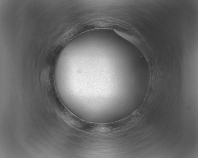 X0000076430217200611031848