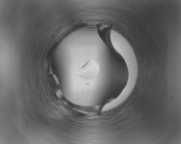 X0000076430219200611031848