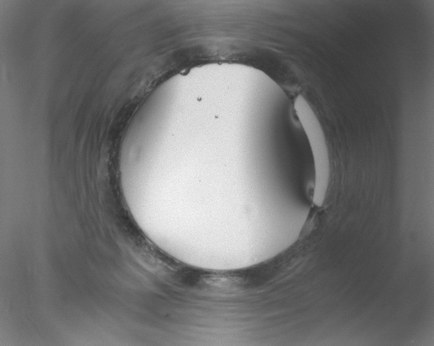 X0000076430221200611031848