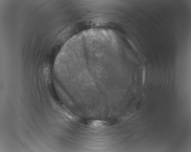 X0000076430222200611031848