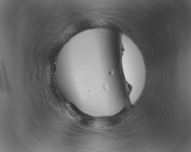 X0000076430223200611031848