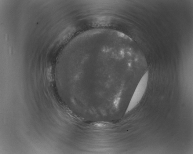 X0000076430224200611031848