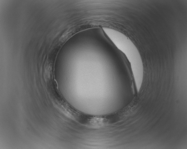 X0000076430227200611031847