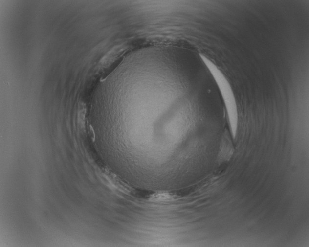 X0000076430231200611031847