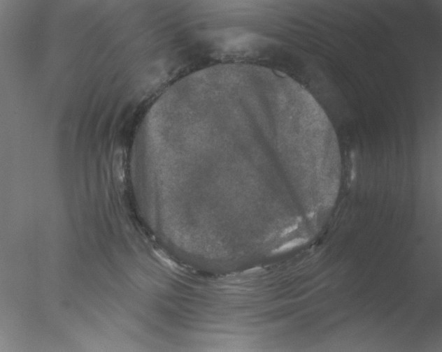 X0000076430232200611031847