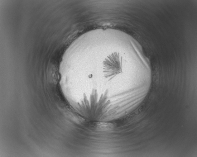 X0000076430234200611031847