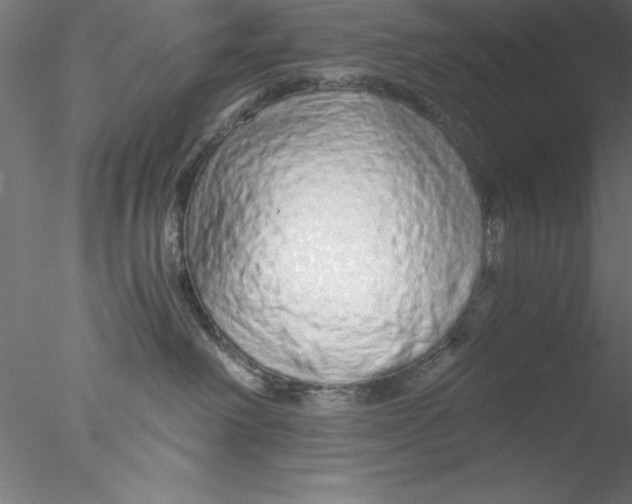 X0000076430238200611031847