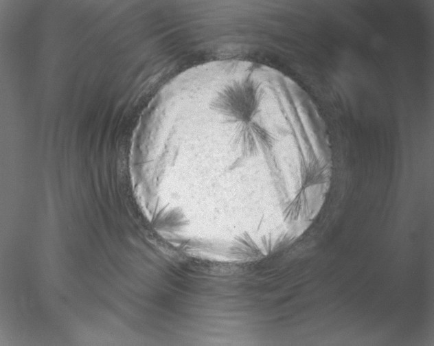 X0000076430240200611031847