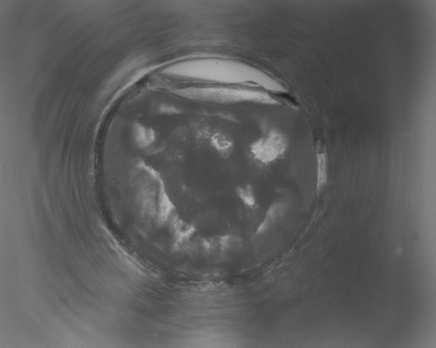 X0000076430243200611031847