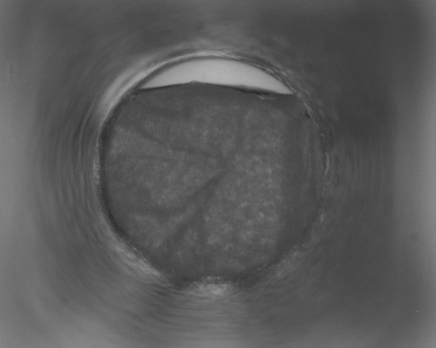 X0000076430247200611031847