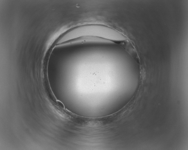 X0000076430248200611031847