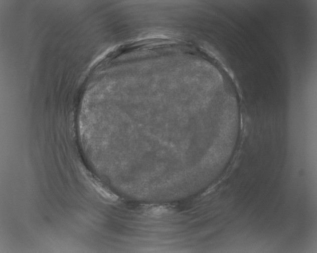 X0000076430249200611031847