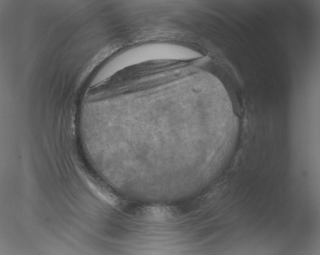 X0000076430250200611031847