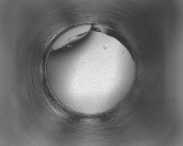 X0000076430251200611031847