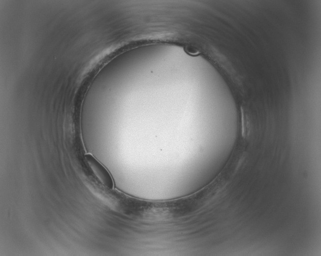 X0000076430252200611031847