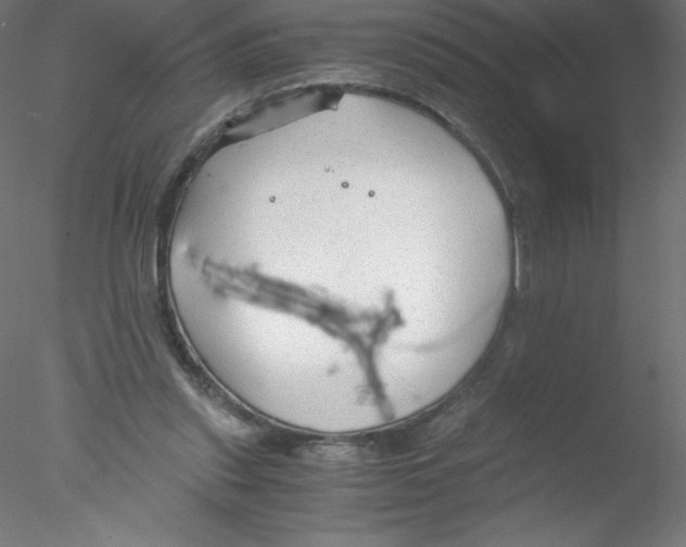 X0000076430253200611031847