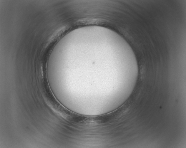 X0000076430254200611031847