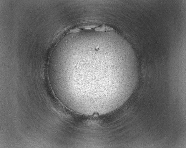 X0000076430255200611031847