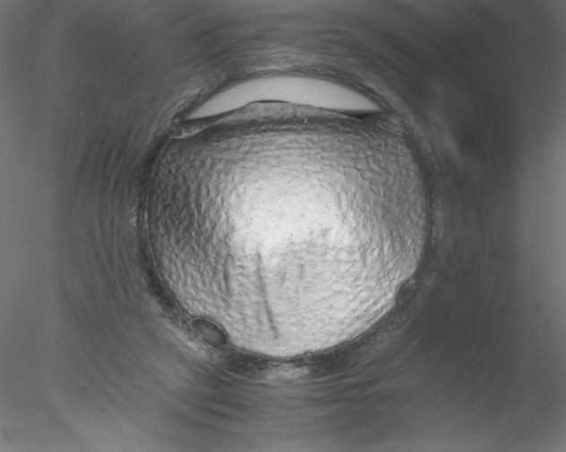 X0000076430257200611031847