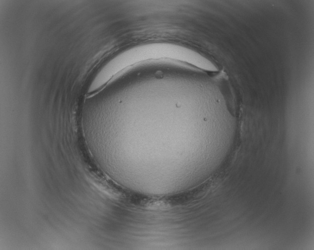 X0000076430258200611031847