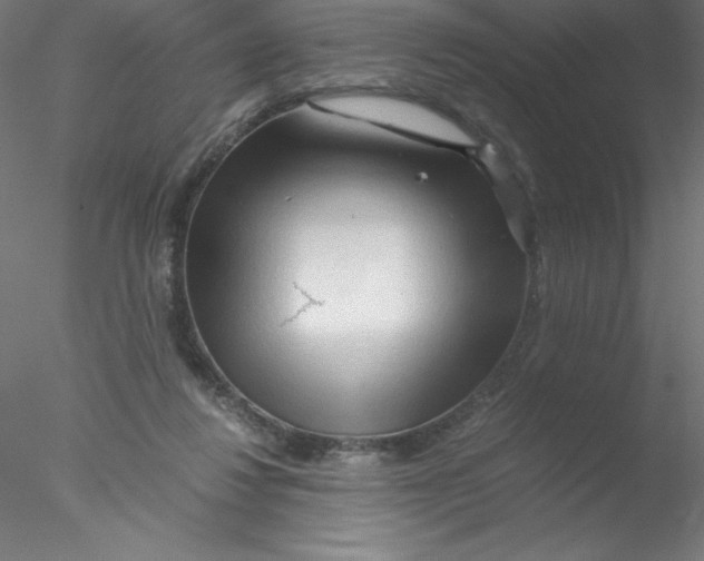 X0000076430260200611031847