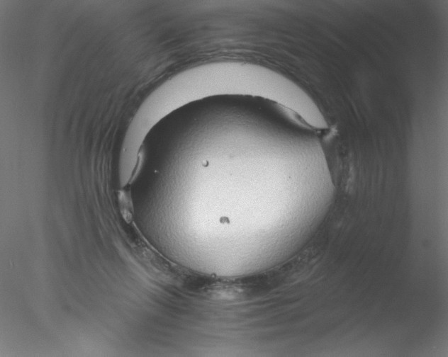 X0000076430263200611031847