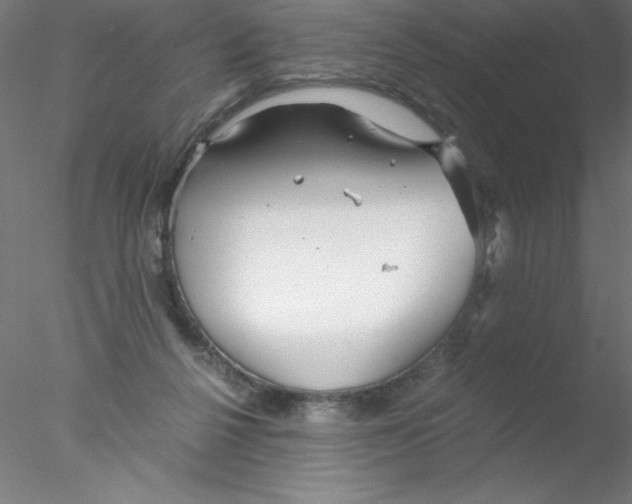 X0000076430264200611031847