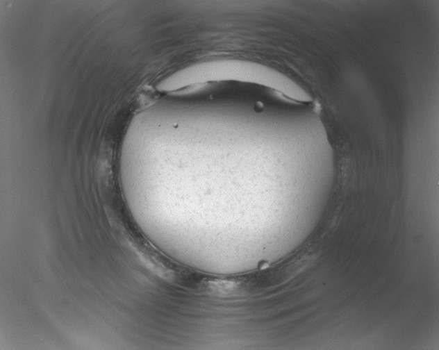 X0000076430265200611031847