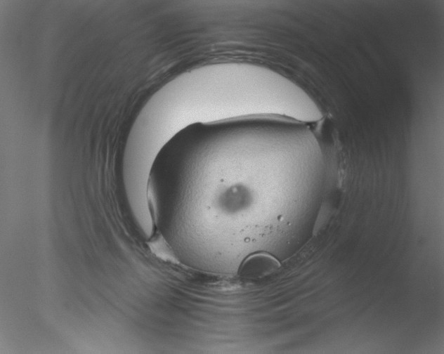 X0000076430267200611031847