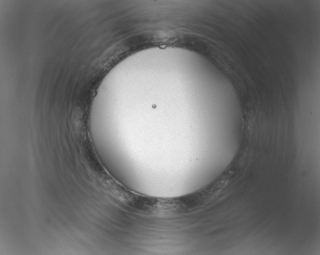 X0000076430270200611031847