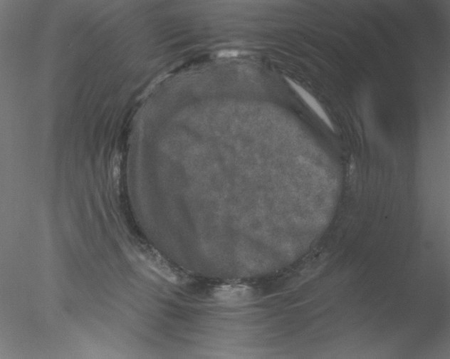 X0000076430271200611031847