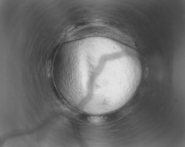 X0000076430273200611031847