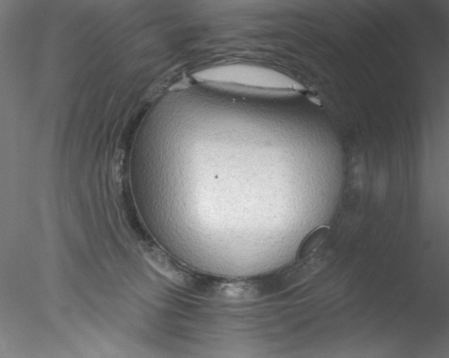 X0000076430275200611031847