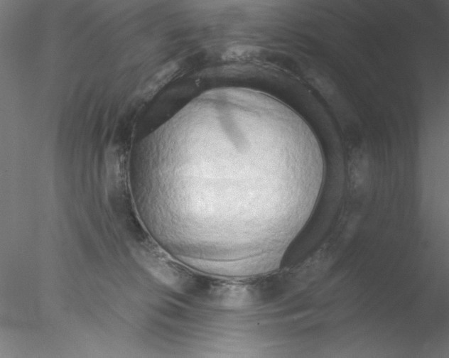 X0000076430276200611031847