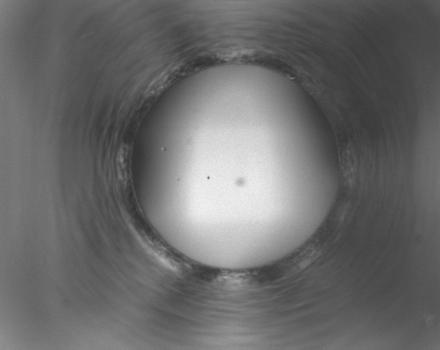 X0000076430280200611031847