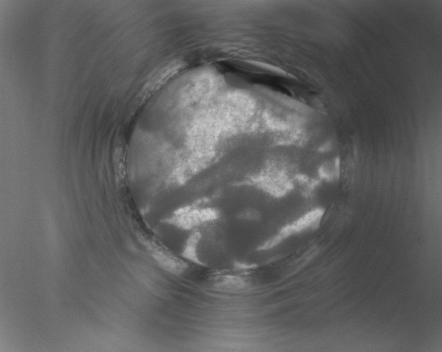 X0000076430285200611031847