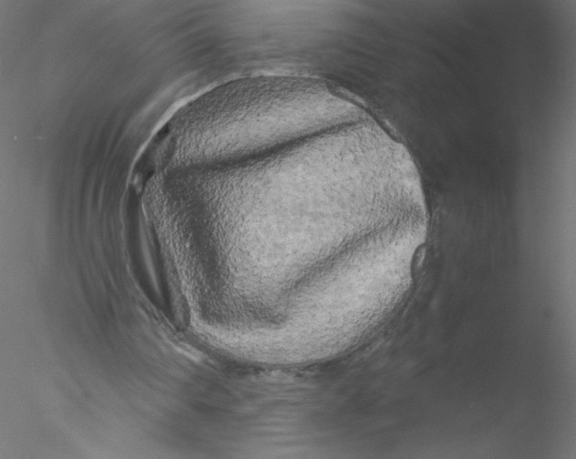 X0000076430290200611031846