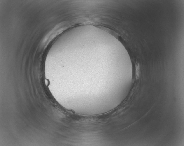 X0000076430291200611031846