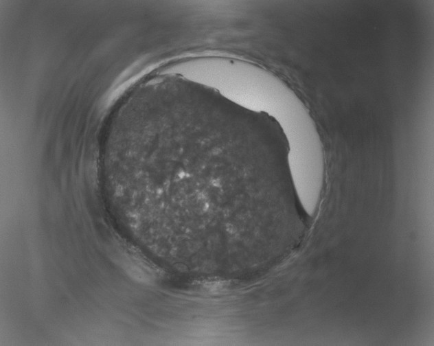 X0000076430295200611031846