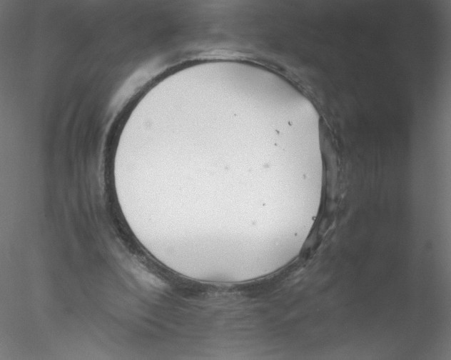 X0000076430296200611031846