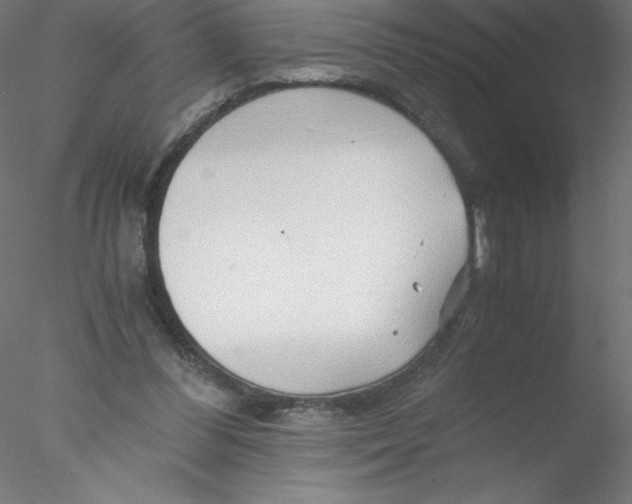 X0000076430300200611031846