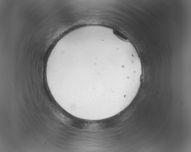 X0000076430301200611031846