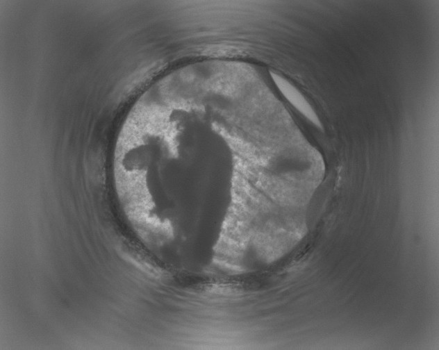 X0000076430303200611031846