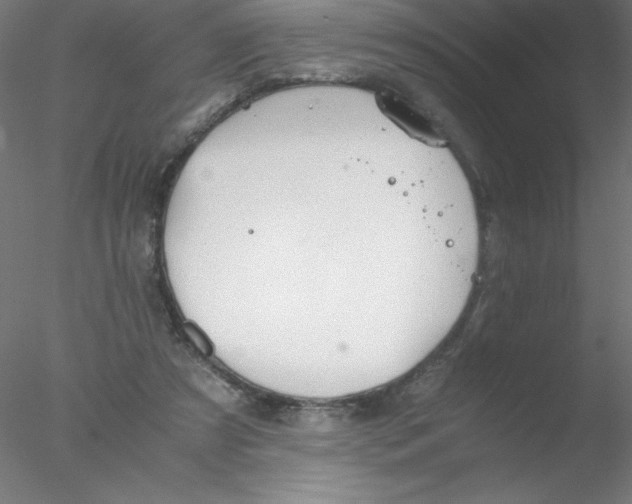 X0000076430305200611031846